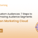 AMC Custom Audiences: 7 Steps to Build Amazing Audience Segments